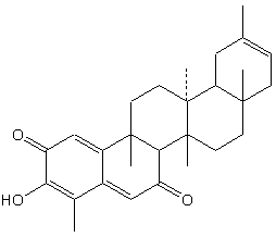 304.gif (2226 bytes)
