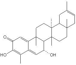 305.gif (2227 bytes)